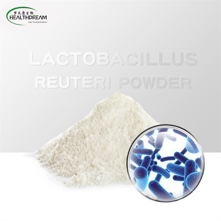 Lactobacillus reuteri poud