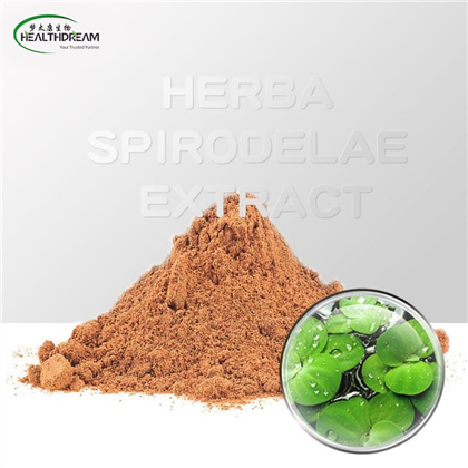 Herba spirodelae ekstrè