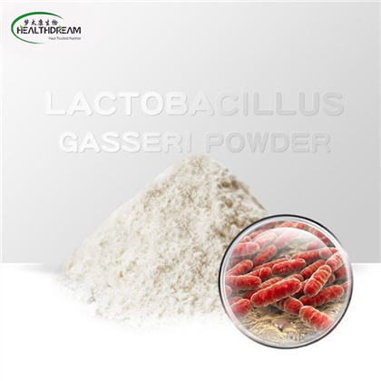 Lactobacillus Gasseri Powder
