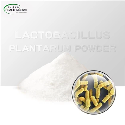 Lactobacillus poud plantarum