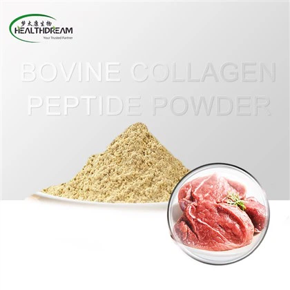 Bovin Kolagen Peptide Powder